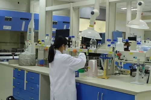 小奶罐萌力來襲 探秘多美滋上海工廠與技術交流之旅